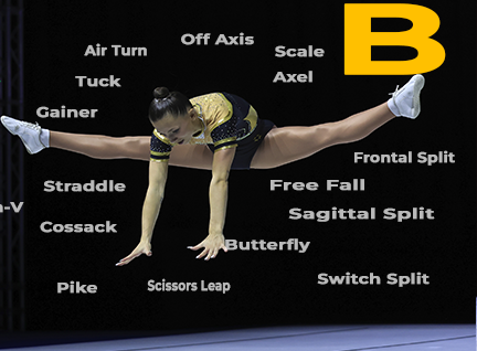 GROUP-B-AIRBORNE-ELEMENTS_r260.html